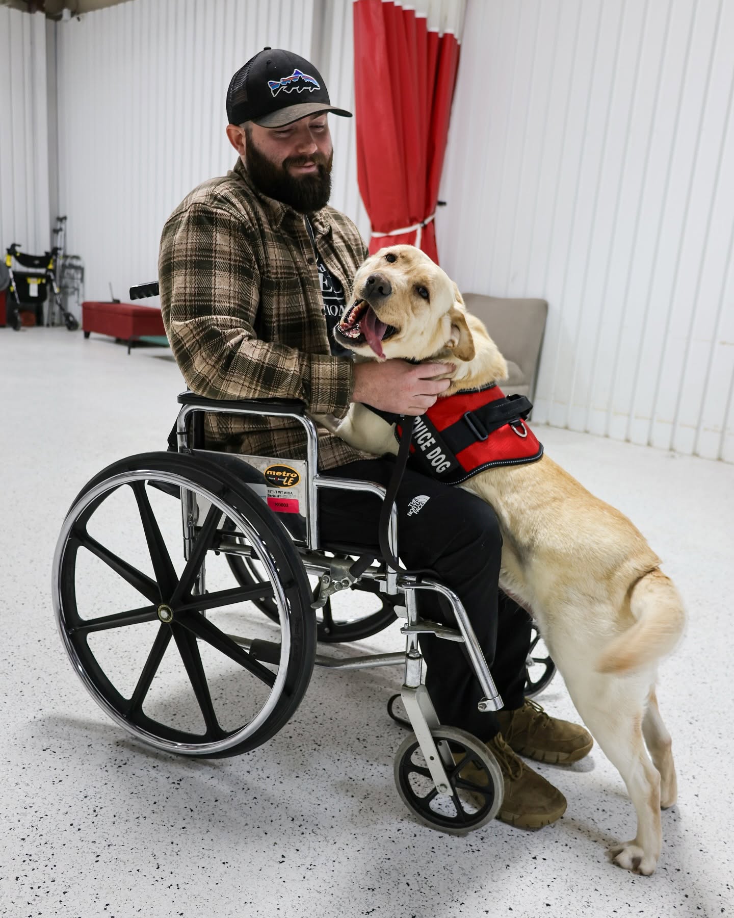A man in a wheelchair greeting his yellow Labrador service dog in a red vest
